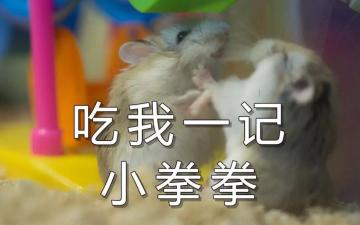 选对了礼物，爱情就能升温好几度