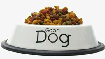 大鹅斥巨资写的冰原情书，你敢接么？