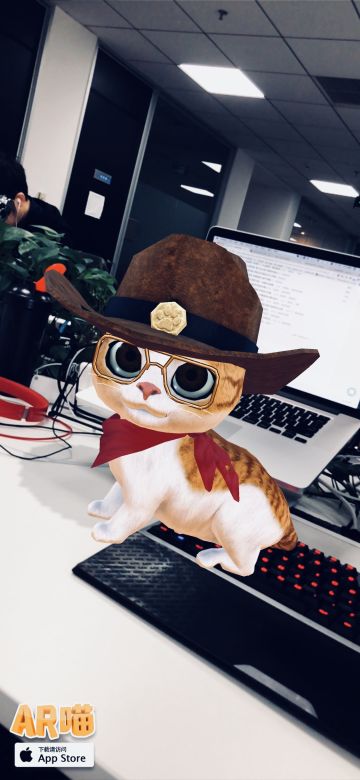 飞行喵，帅翻了