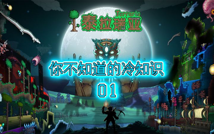 【摄影姬】泰拉瑞亚大家都（不）知道的冷知识01截图