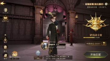 【转自NGA】【哈利波特】[经验分享] [攻略] 一似食尽鸟投林，无心插柳柳成荫。—— 宗师双子卡组分享