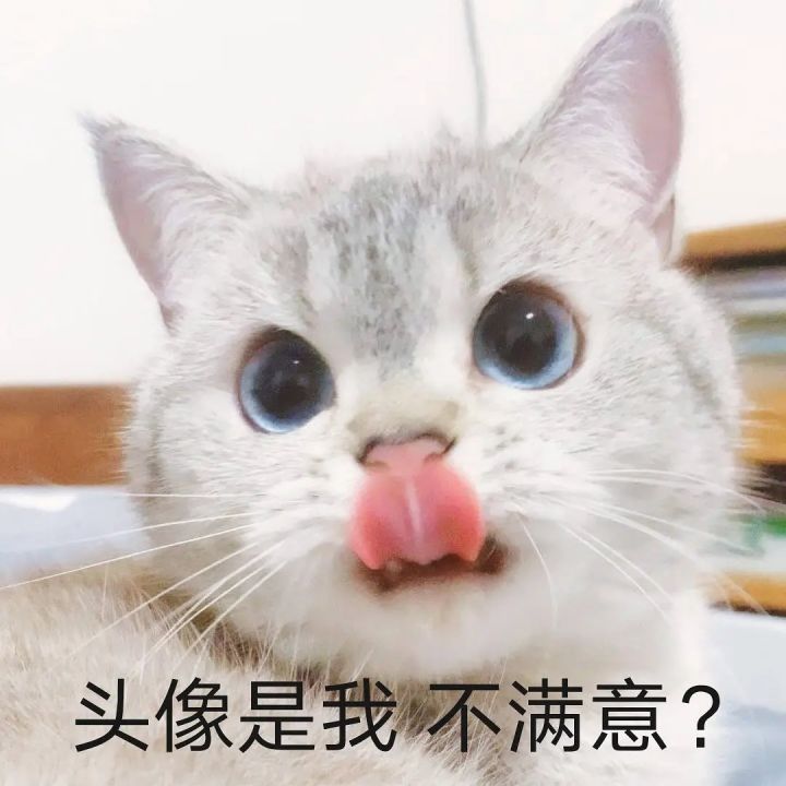 换头像啦截图