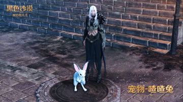 【安琪小课堂】赫墩宠物喳喳兔获取方式