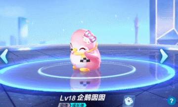 98%的新手都会携带的宠物，企鹅囡囡有什么魅力