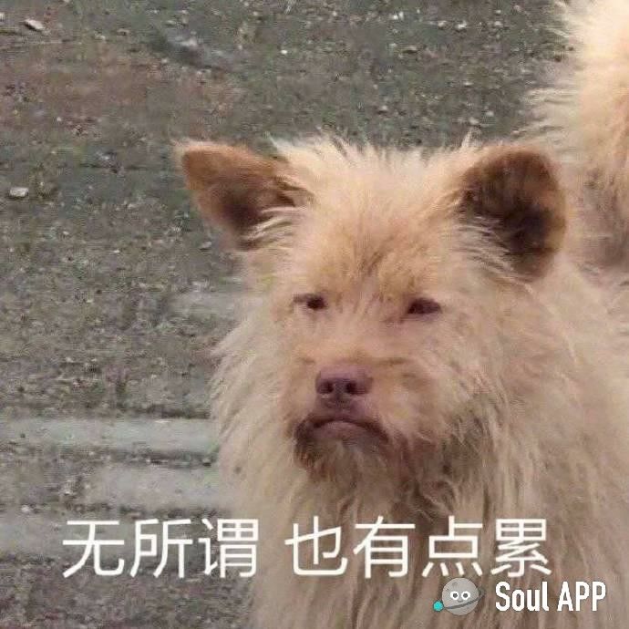 头像框。。。截图