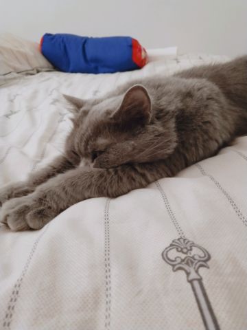 9102年年初最新版封神大阵攻略（更新至2019.7.15）