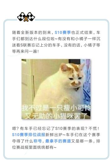 S10排位战报送达，赛季数据分析一目了然~