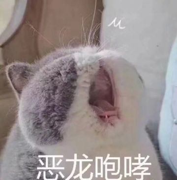 开发者爆料 | 结拜城战，重温热血记忆！