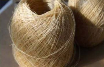 麻布分支——夏布