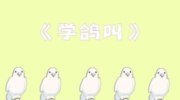 【勇者传记】恪守着鸽之道的勇者——鸽鸽勇者