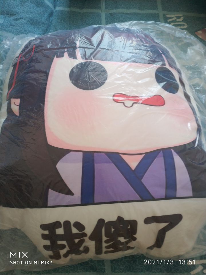 阿月的抱枕到了(doge)截图