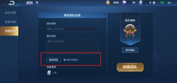 全新战队赛全国大赛版本，赢了就来线下见一面吧