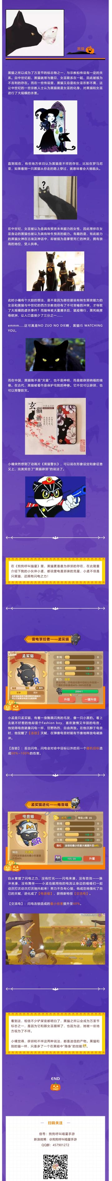 为什么黑猫是万圣节的标志之一？