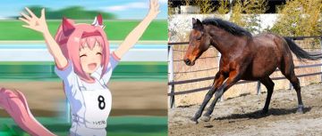 [不止游戏] 《赛马娘》火了，玩家也开始喜欢真实的马了