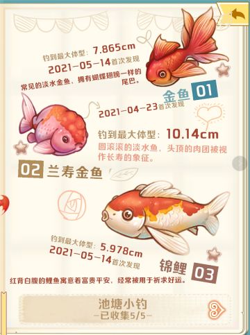 那些稀奇古怪的鱼——河鱼篇