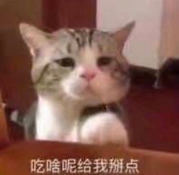 时装cos | 棕里寻TA千百度，不看风景只看你！