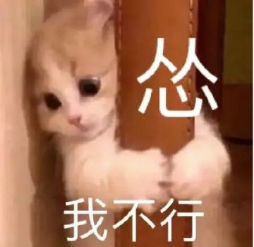 贝壳许愿池丨超萌猫猫怪带你放风筝啦！！