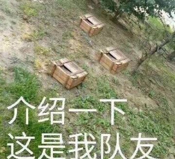 双排？四黑？独狼？来跟大家交流下你最爱玩几人模式吧~【欢迎提出建议】