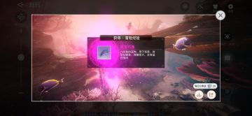 海底大世界全新来袭~竟然又又又双叒叕添鱼了？