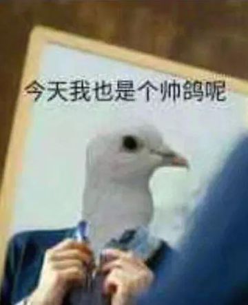 第九章预告：奇幻的冰雪世界