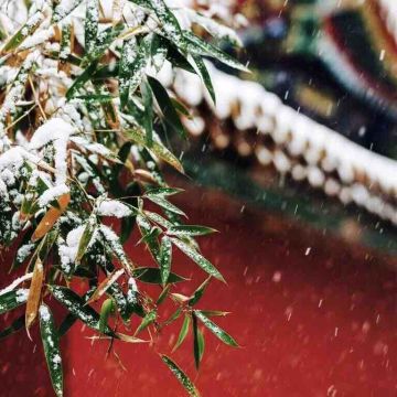 11月24日周四凌晨0-6点服务器特别维护通知