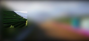 【互动福利】看局部猜赛道，不是大神别进来！