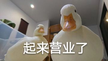 【派对杂谈】让你炒作明星，你能炒作火吗？