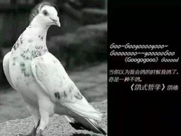 【版本更新】更新时间推延，造成不便请见谅