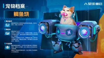 【宠物档案】乖戾可爱！引领猫咪风潮——鲷鱼烧