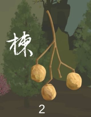 识树名截图
