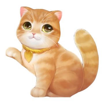 【猫咪图鉴】大橘为重