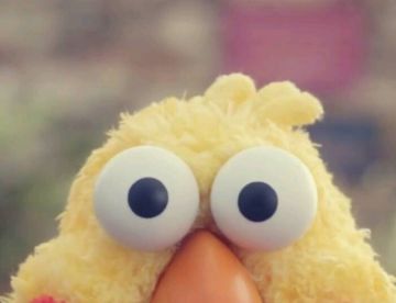 开发日记：沉迷开发，“荒废”学业