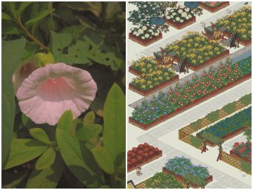 【活动开奖】春到江南花自开活动开奖啦