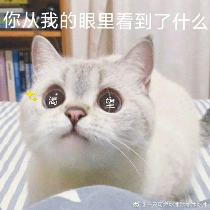 家族战哪里能看?截图