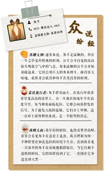 边境档案丨你听说过角羊吗？它们是攀岩达人也是山间精灵~