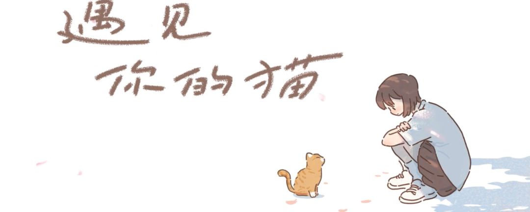 遇见你的猫小橘好感度怎么到五级截图