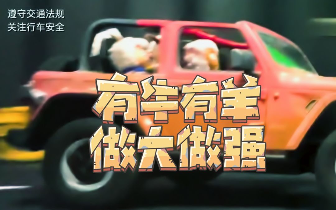 video-2395454