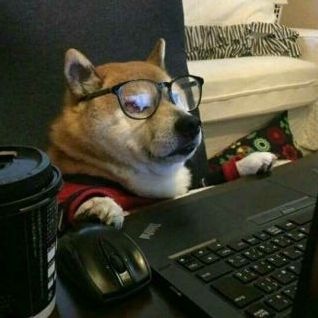 【实力爆照】不做单身汪，为你寻找另一半