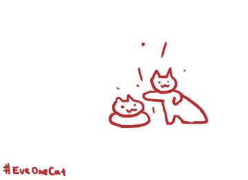 今天黄猫猫带来了一篇秀秀的攻略~4月17号一起来撸猫！