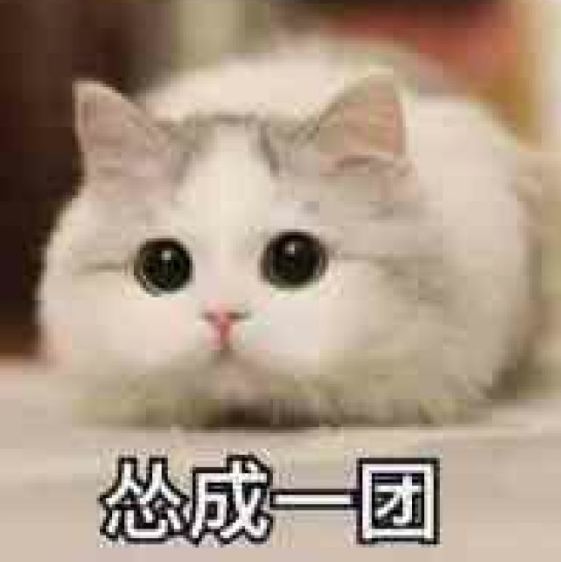 冲锋测试截图
