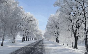洁白的大雪在纷飞，南方的伙伴在哭泣
