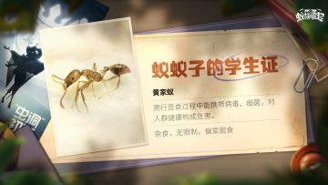 【蚁族科普—黄家蚁】对甜食情有独钟的吃货军团~