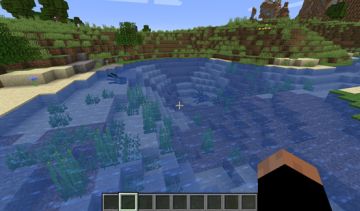 萌新科普之鱿鱼小知识