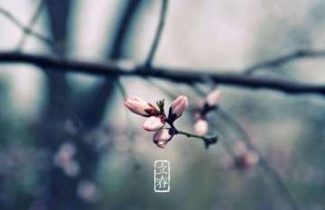 《大侠挂个机》节气-立春