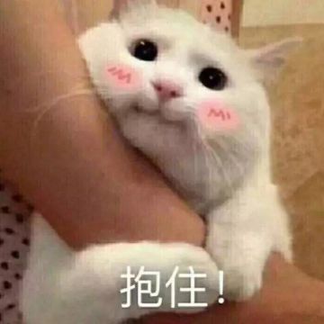 缇娜的周末丨万圣节将至，快来猜猜游戏里都有什么活动吧！