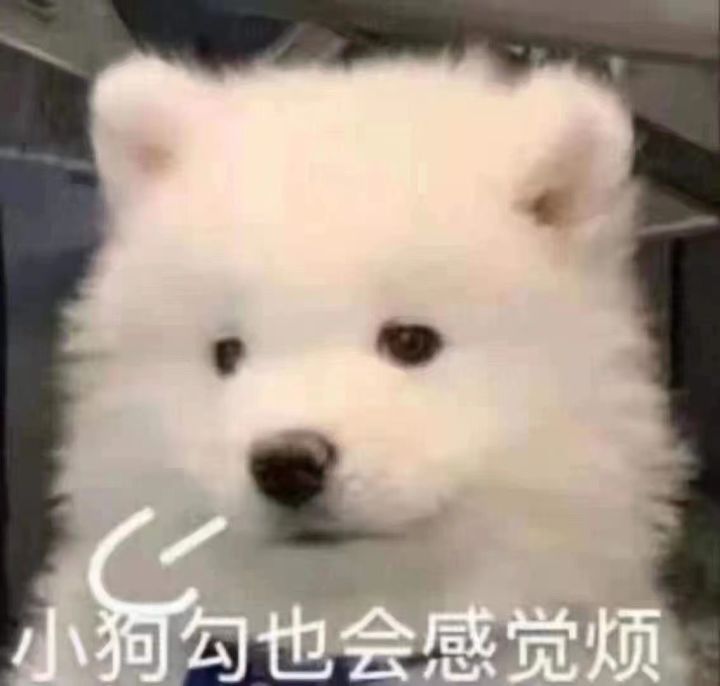 新手准备入坑,我想知道这游戏主要是玩什么的😢是阴阳师那种还是恋与制作人那种?截图