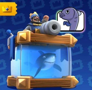 新卡渔夫不知道要怎么用？看完这个你就懂了！