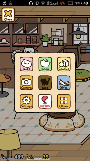 每日猫咪暗号！