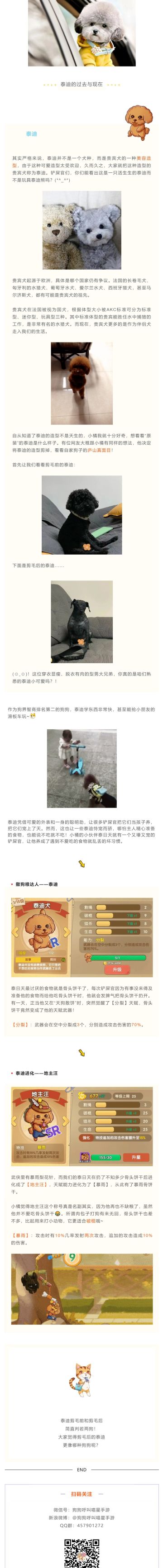 帅气和可爱之间，只差一个Tony老师~