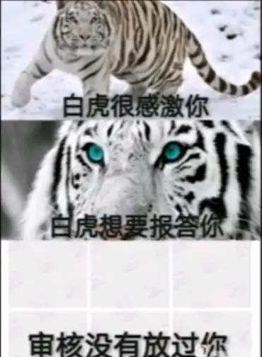 答疑截图